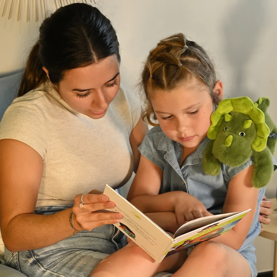 Peluche bien être - Dinosaure en peluche vert magnétique gris - 30 cm