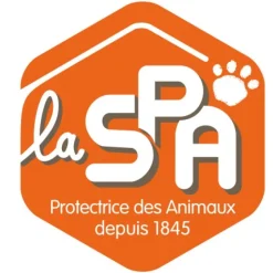 Porte clé - Bijou de sac X SPA - Chien marron 13 cm